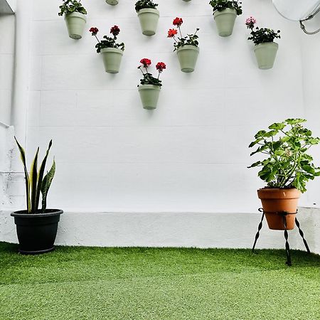 Blue & Green Apartment Kordoba Bagian luar foto